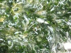 -程新大酒店(常州龙虎塘店)