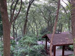 -忠山公园