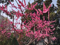 -经纬广场