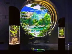 -中国湿地博物馆