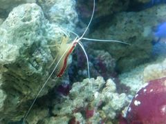 -北戴河圣蓝海洋公园