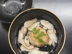 -焘