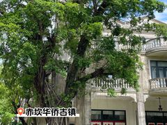 -赤坎·广东华侨国际旅游度假区