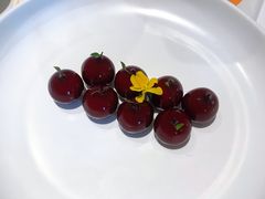 樱桃鹅肝-玫瑰厅上海菜(兴国路店)