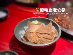 -谭鸭血老火锅(漳州路店)
