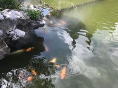 -檀园