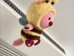 -麦当劳(融创茂店)