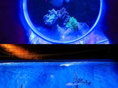 -太平洋海底世界