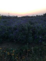 -完美新娘婚纱摄影