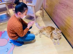 -藏猫猫咖啡主题馆(中央大道店)