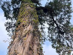 -北京上方山国家森林公园