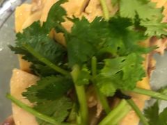 -九斤黄三黄鸡专卖店