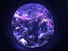 -南昌海洋公园