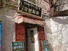 -古树酸奶(八廓南街店)