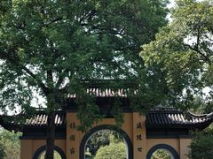 -红梅公园