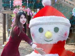 -洛阳白云山景区