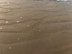 -日照海滨国家森林公园