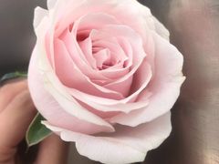 -淀里船宴(卓达店)