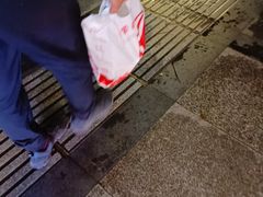 -紫燕百味鸡(洪山侧路店)