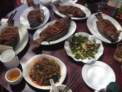 iphone_upload_pic-特种渔场