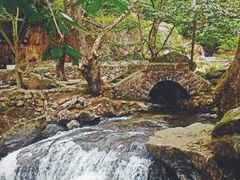 -白云源风景区