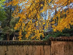 -惠山古镇·寄畅园