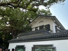 -江心屿景区