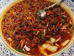 -新蜀会四川豆花(五羊店)