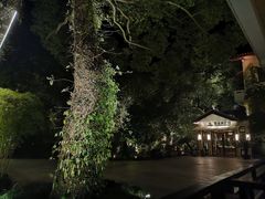 -普陀山雷迪森庄园
