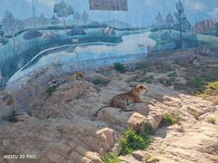 -西霞口神雕山野生动物世界