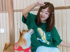 -柴源莊·柴小宠柴犬咖啡