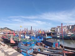 -枸杞岛