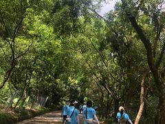 -大屏嶂森林公园