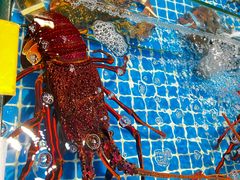 -三亚火车头万人海鲜广场