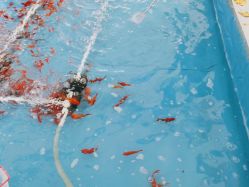 -萌宠亲子动物乐园(槐房万达店)