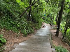 -青城山