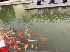 -中国宣纸文化园