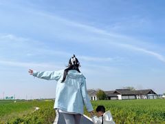 -杭州湾海上花田景区