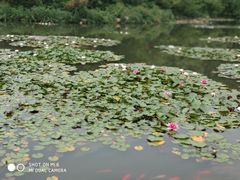 -白马涧龙池景区