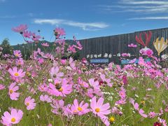 -丽江泸沽湖景区