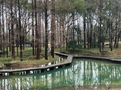 -杭州植物园