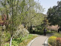 -宝鸡植物园