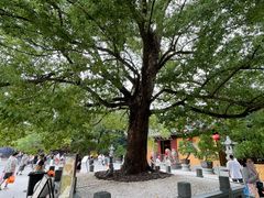 -龙华素斋(龙华路店)