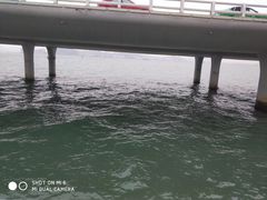 -演武大桥观景平台