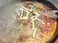 老板恋上鱼-老板恋上鱼(恒隆广场店)