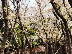 -白塘生态植物园