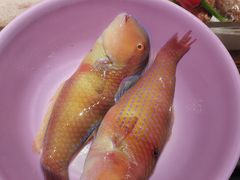 -海门鱼仔·潮汕味(燕岭店)