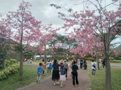 -风云岭森林公园