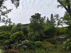 -宝界山林公园