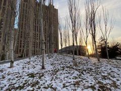 -大兴滨河森林公园